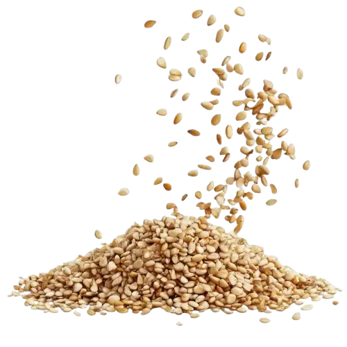 Sesame seeds